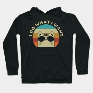 I Do What I Want Cat Hoodie